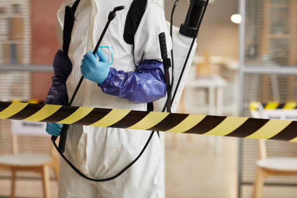 Professional Sewage Cleanup technician working in Denver, IA